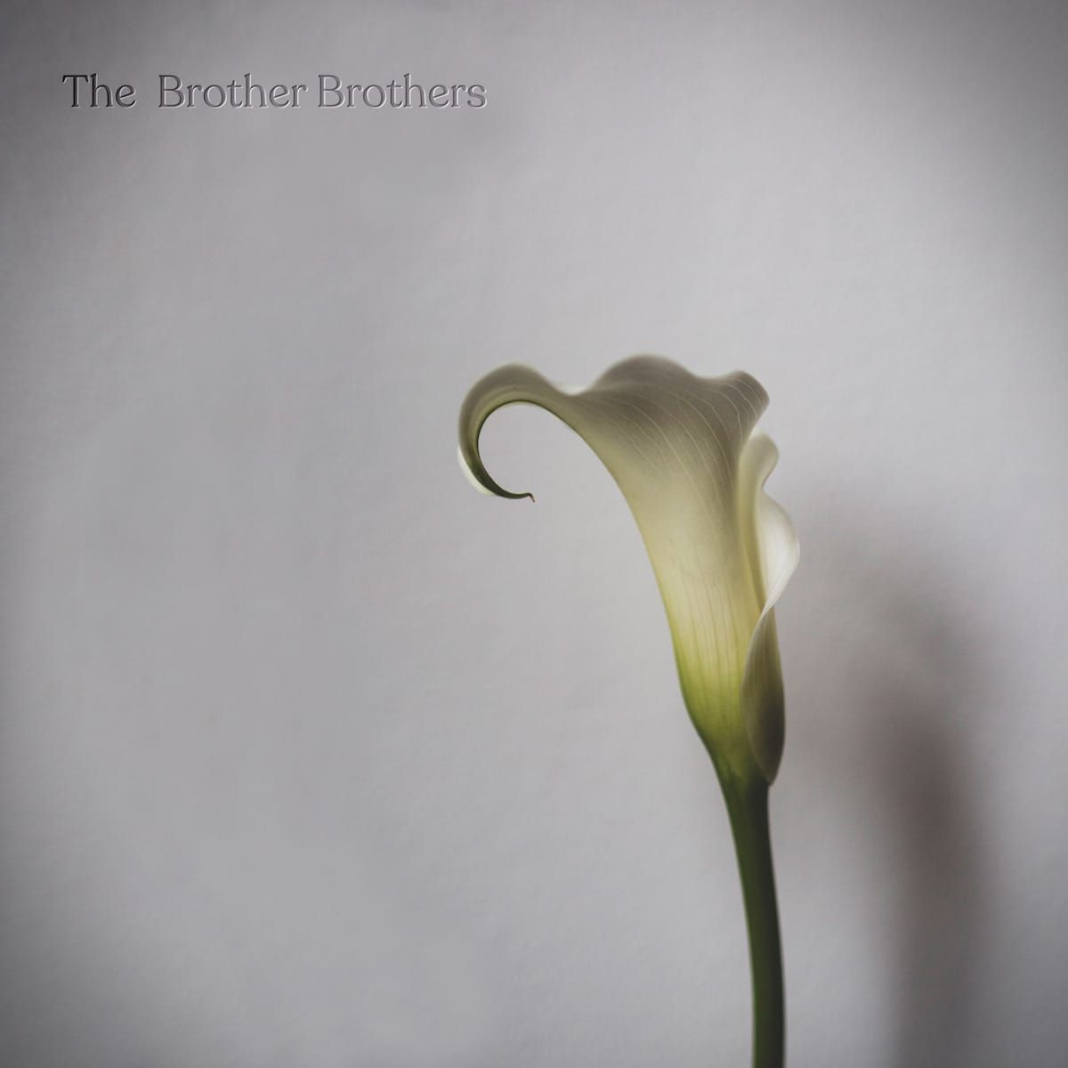 The Brother Brothers Move Through Songs and Seasons on ‘Calla Lily’