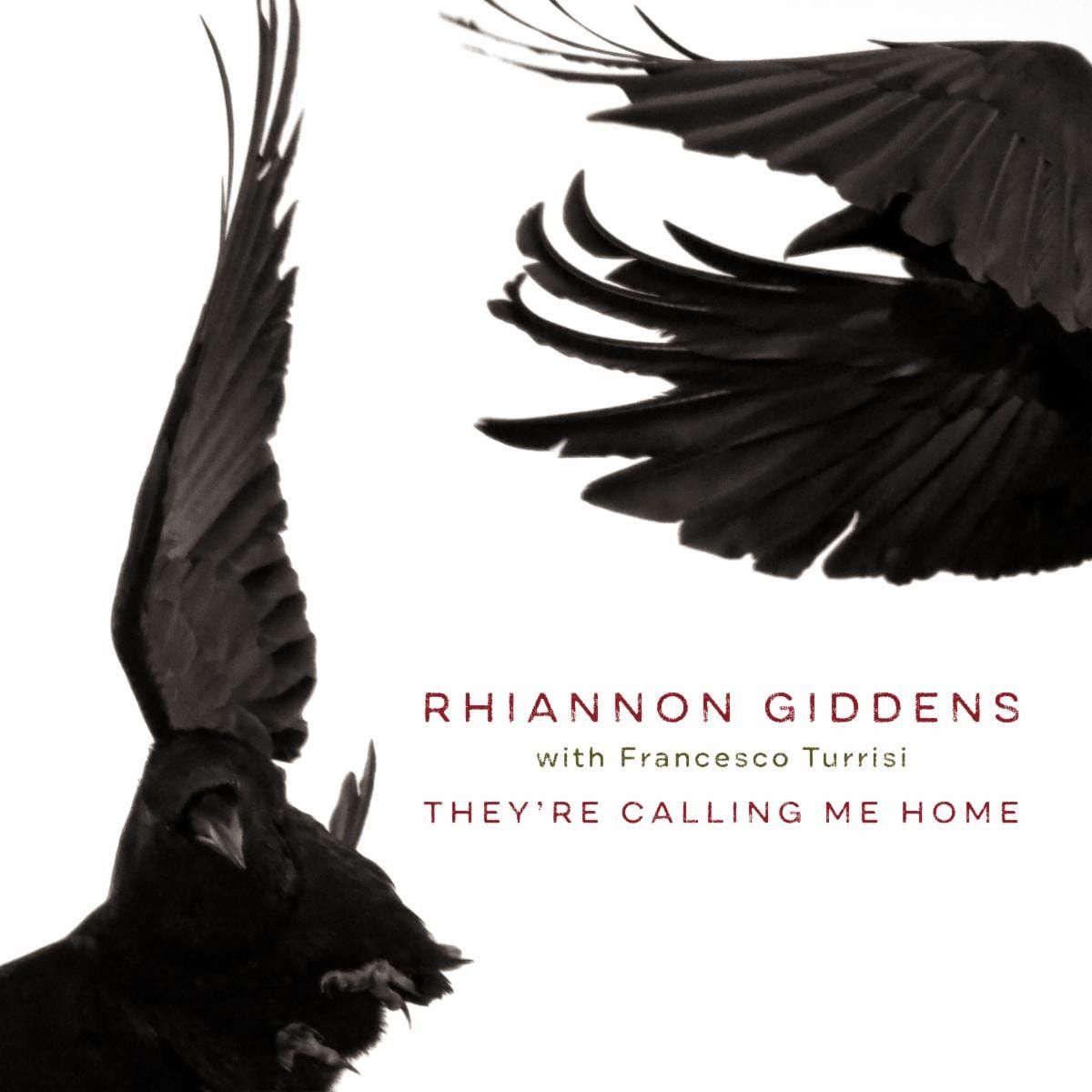 Rhiannon Giddens and Francesco Turrisi Hit Home with Intimate Recordings