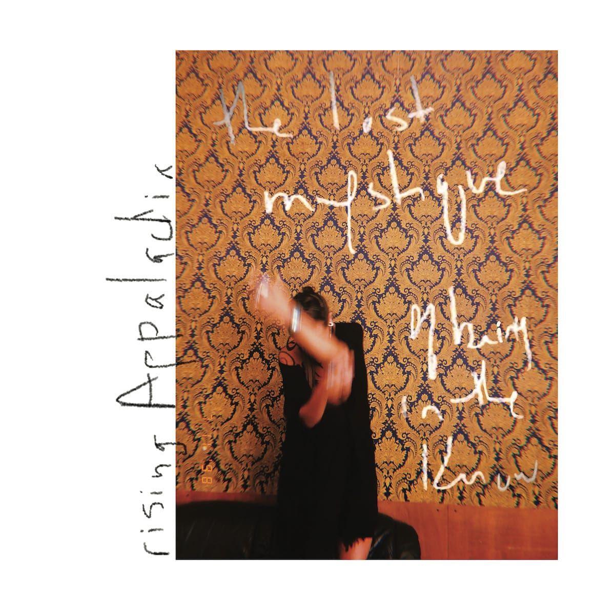 Rising Appalachia Captures Spontaneity on ‘The Lost Mystique of Being in the Know’