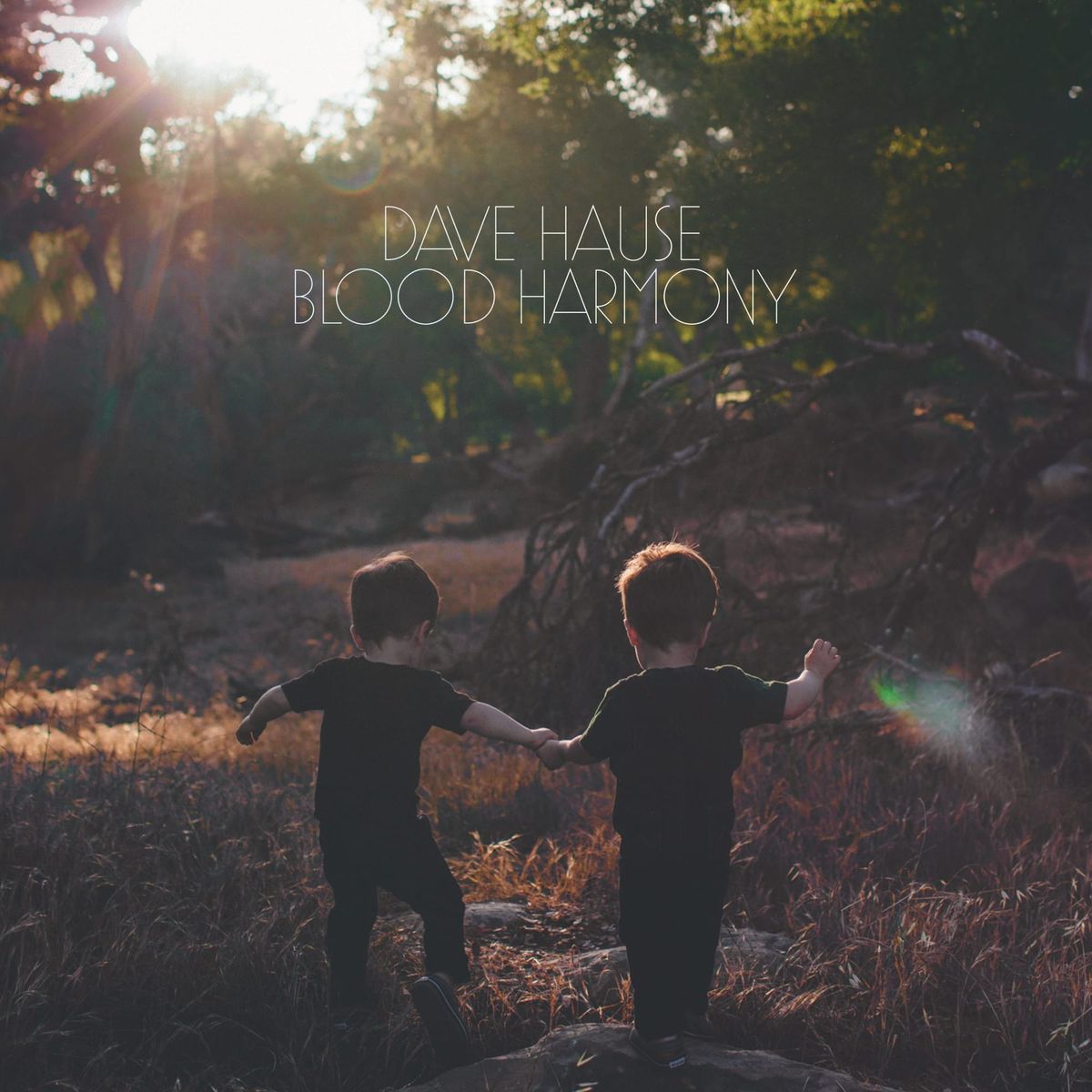 Dave Hause’s ‘Blood Harmony’ Is a Defiant Welcome to Americana