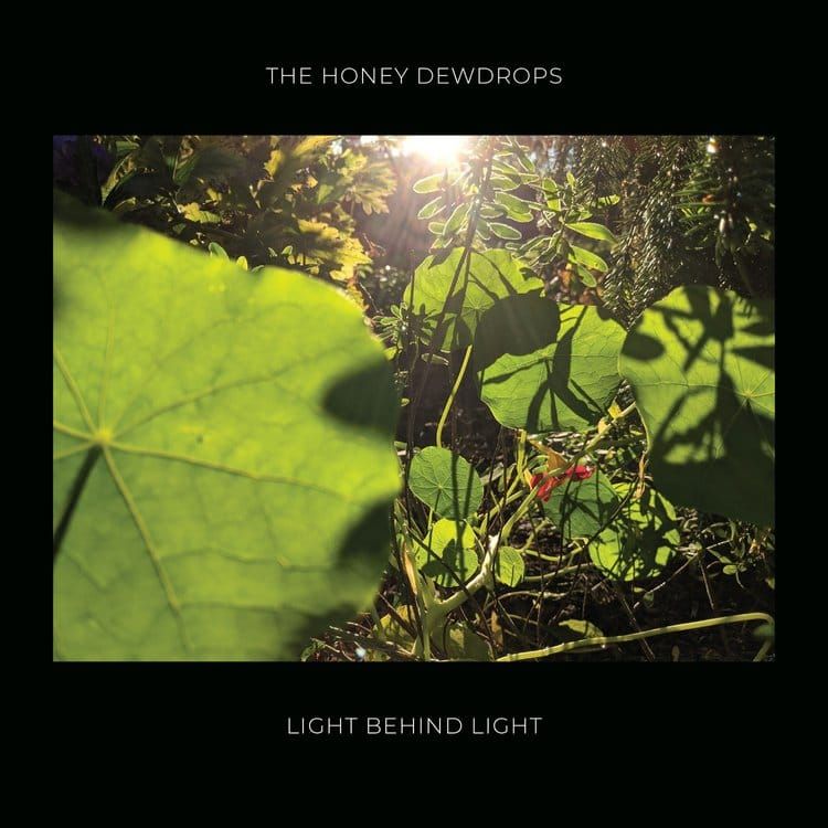 ALBUM REVIEW: The Honey Dewdrops Mine Moments of Humanity on ‘Light Behind Light’