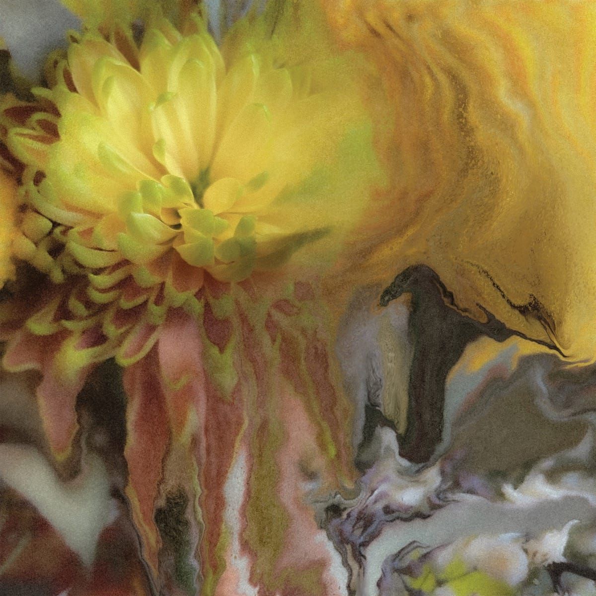 ALBUM REVIEW: Parker Millsap Ponders Connection on ‘Wilderness Within You’