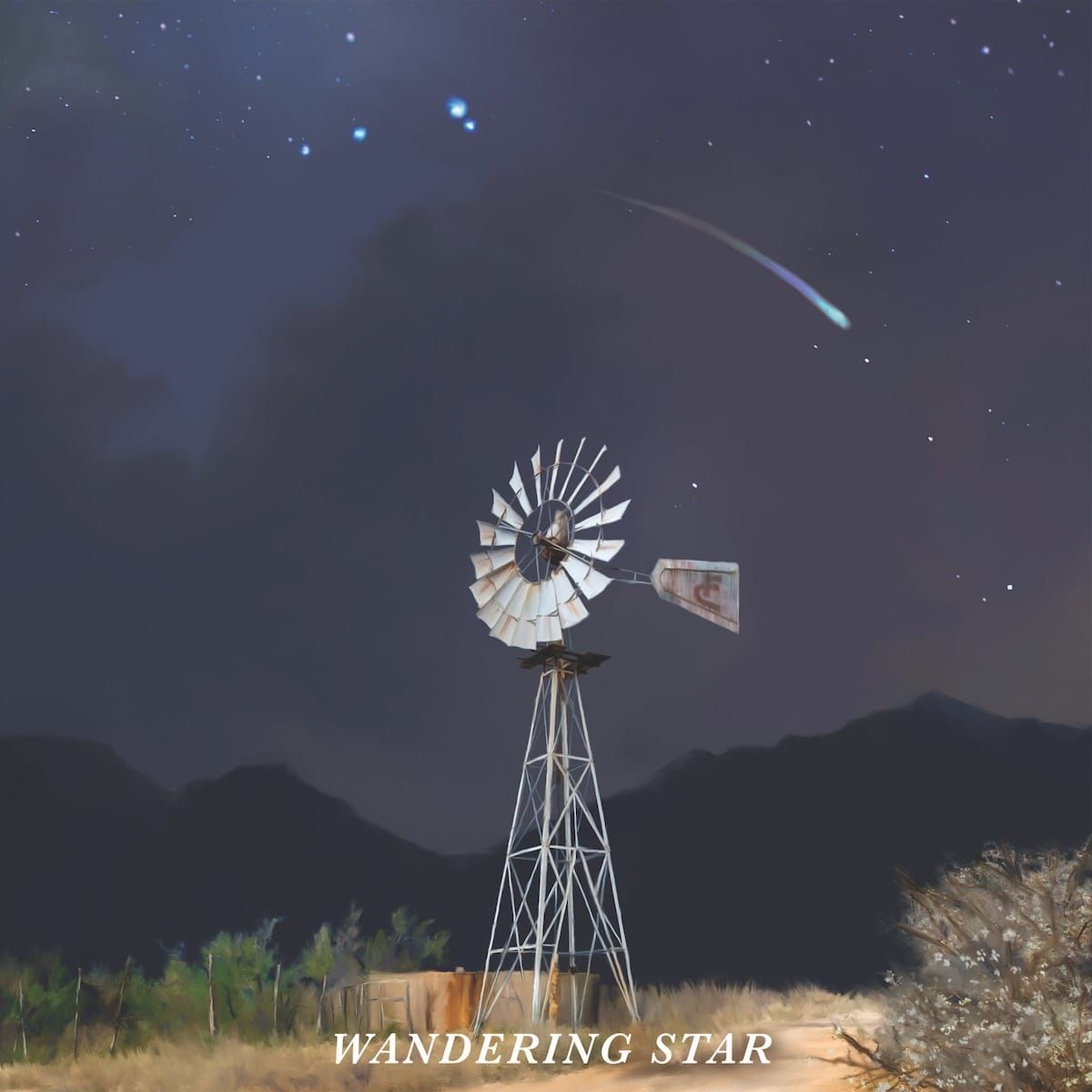 ALBUM REVIEW: On ‘Wandering Star,’ Flatland Cavalry Creates a Galaxy of Layered Songs