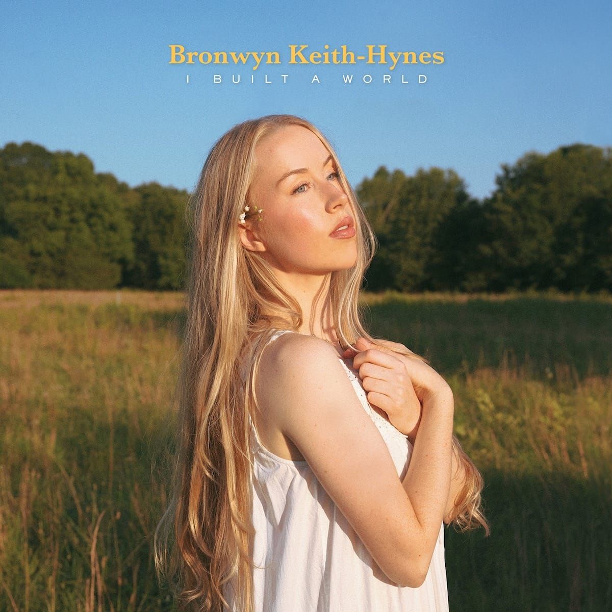 ALBUM REVIEW: Bronwyn Keith-Hynes Steps Into the Spotlight With ‘I Built a World’
