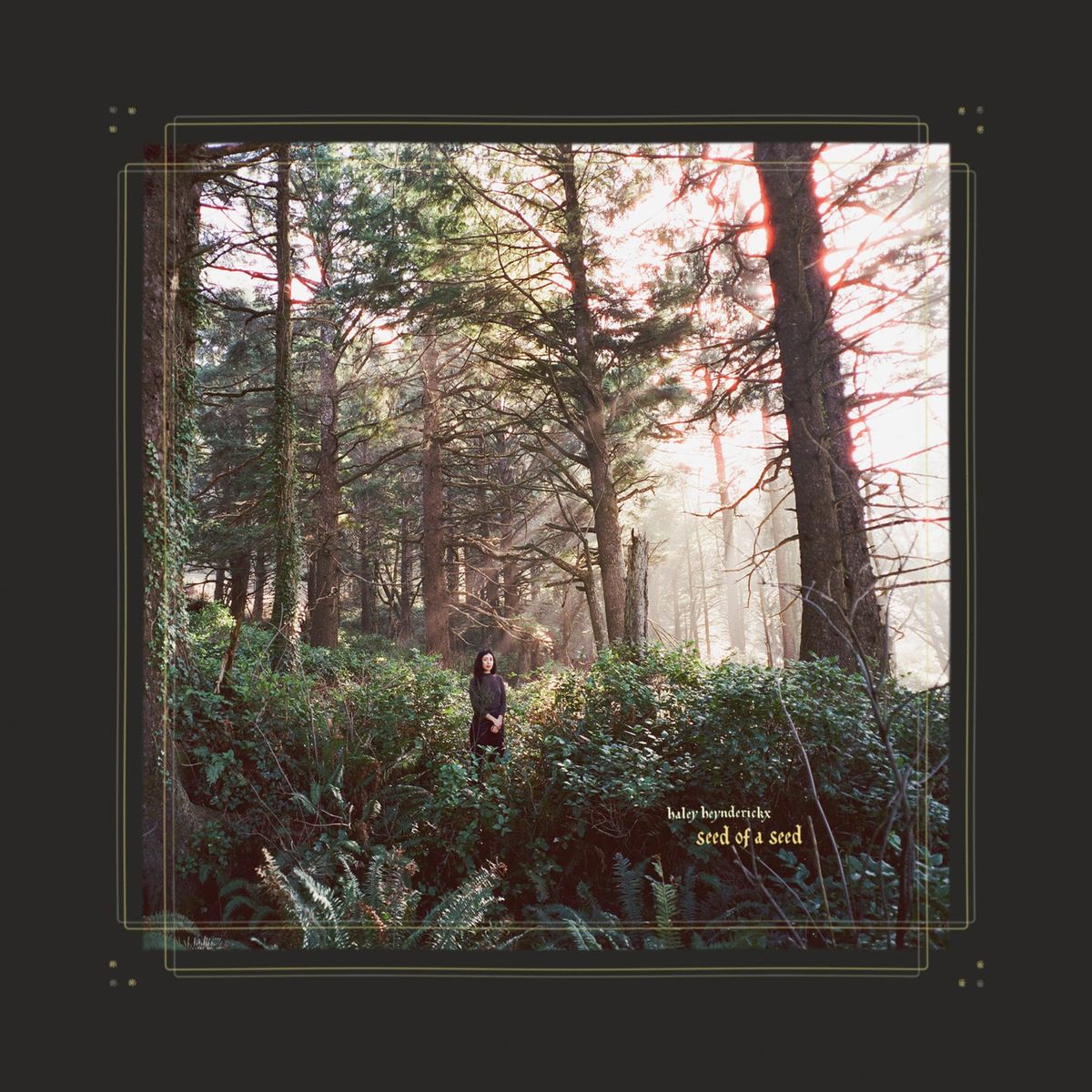 ALBUM REVIEW: Haley Heynderickx Explores the Divide Between the Natural World and Modern Life on ‘Seed of a Seed’