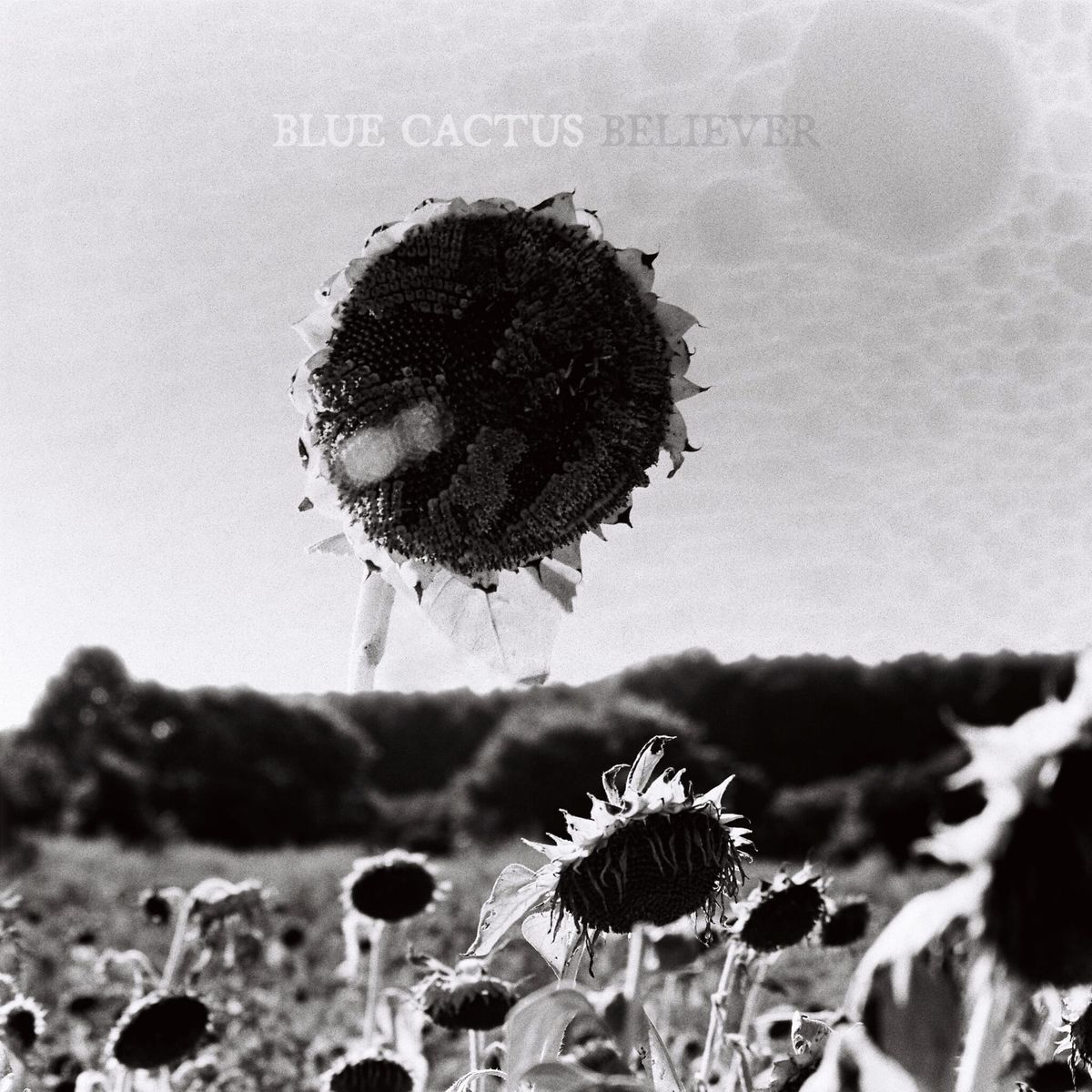 ALBUM REVIEW: 'Believer' Finds NC Duo Blue Cactus Confident and Sure-Footed
