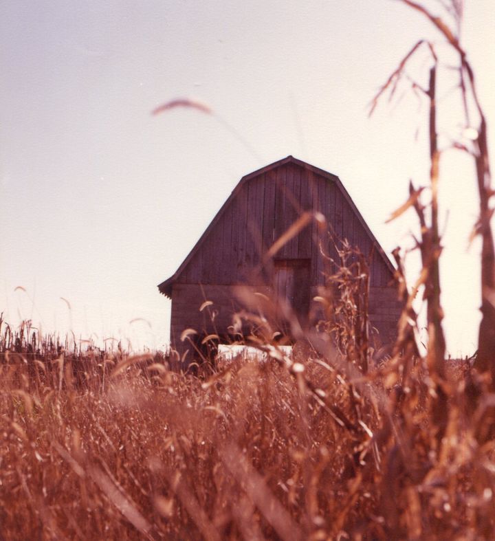 John Prine, A Beacon of Middle America