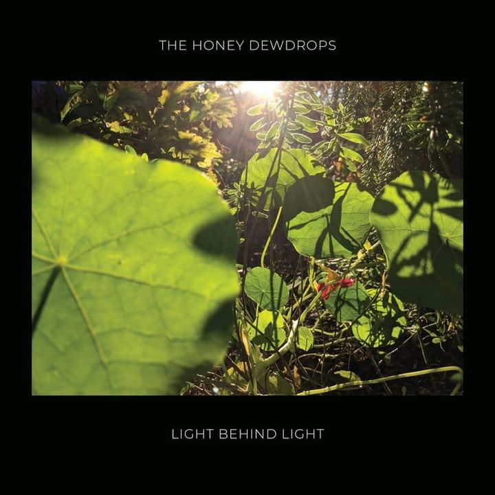 ALBUM REVIEW: The Honey Dewdrops Mine Moments of Humanity on ‘Light Behind Light’