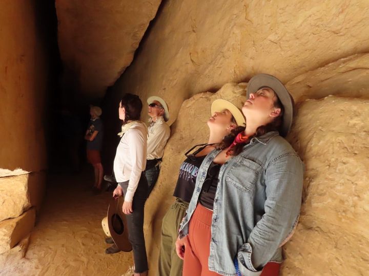 Liz Beebe’s ‘Songscape’ Pairs Creativity and Conservation [VIDEO]