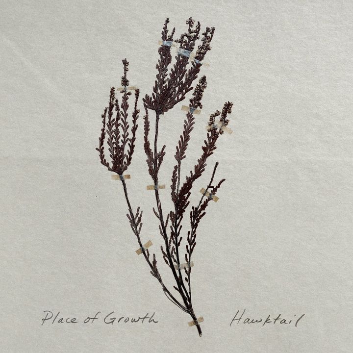 ALBUM REVIEW: Hawktail Moves Through Nature on ‘Place of Growth’
