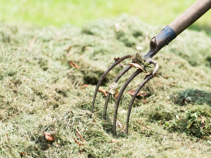 BONUS TRACKS: Why Pitchfork (and Other Music Media) Matters