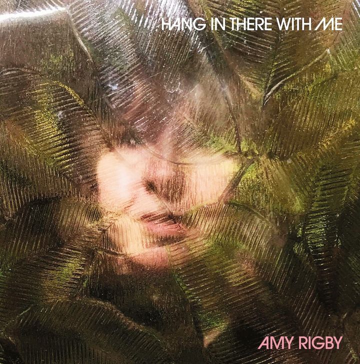ALBUM REVIEW: Amy Rigby Carves Out Her Own Definition of Cool