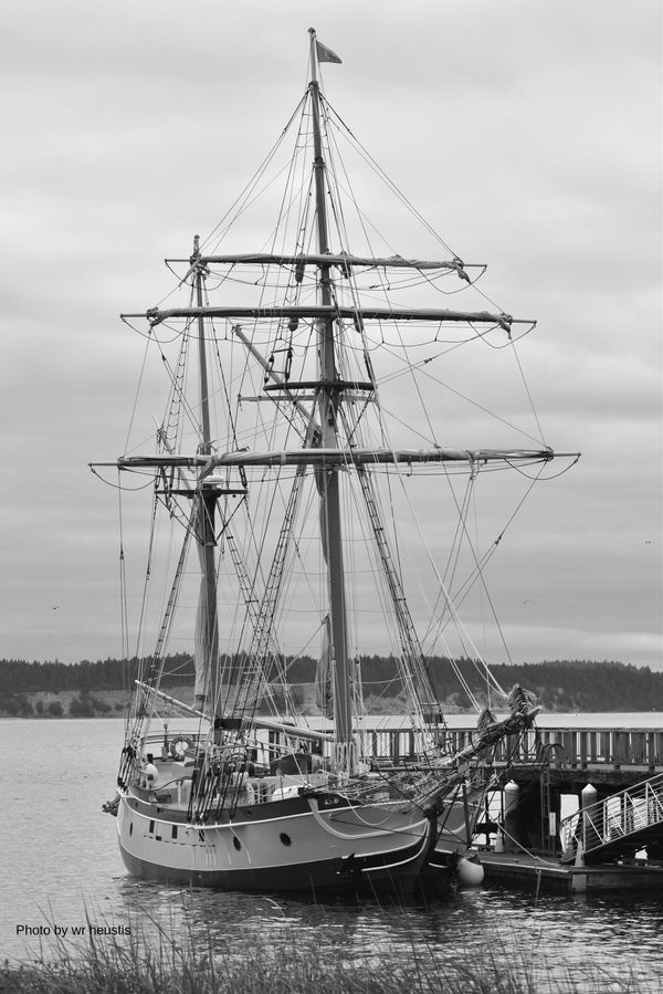 Your ship has come in