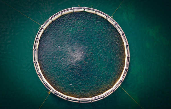5 ways to fund your ocean startup idea