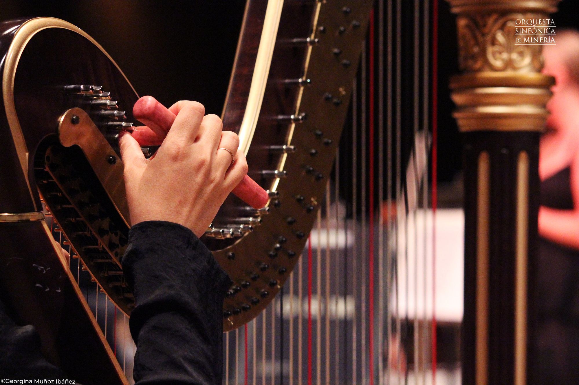orquesta sinfonica en morelos