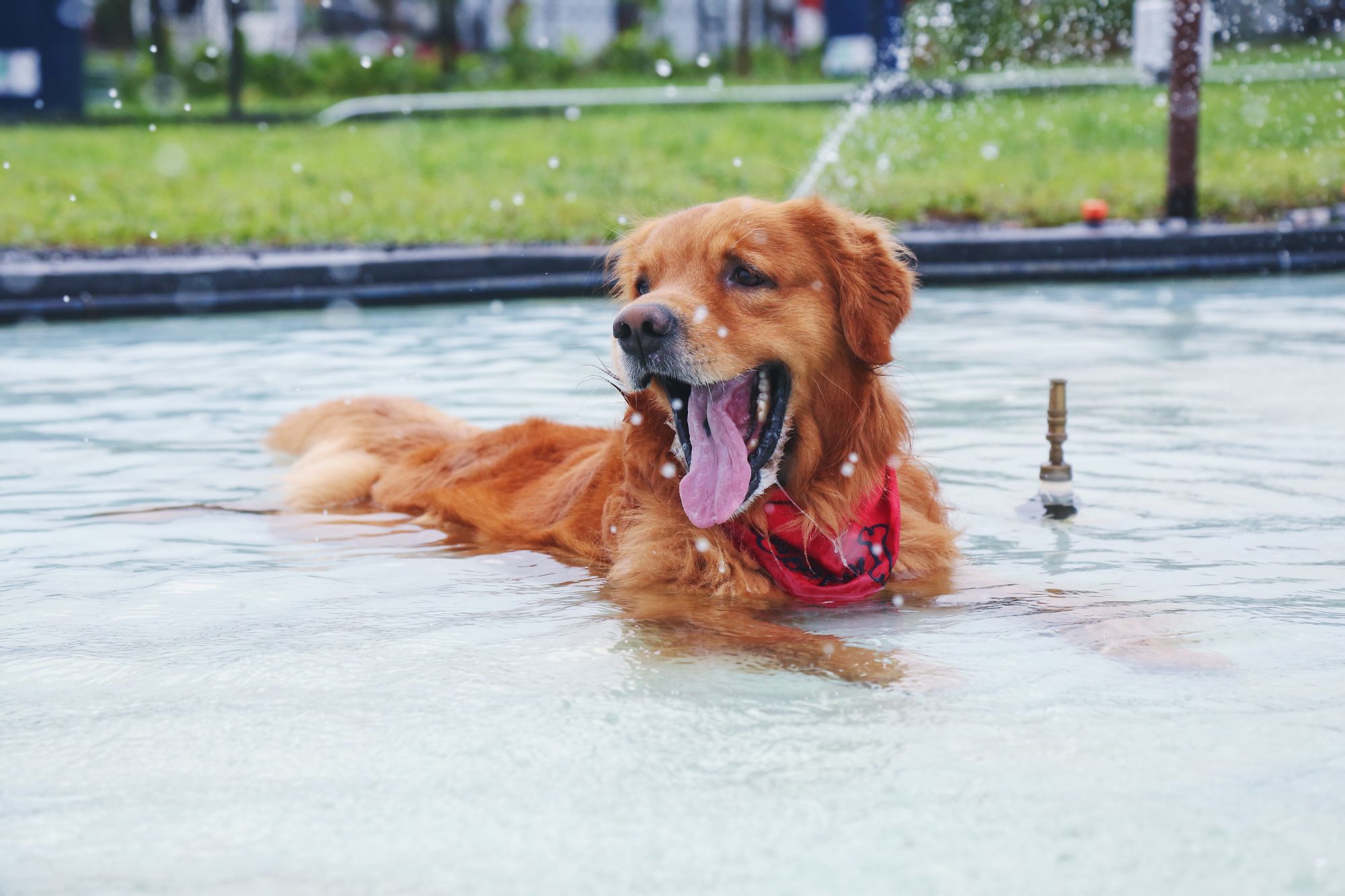 como saber si tengo golpe de calor