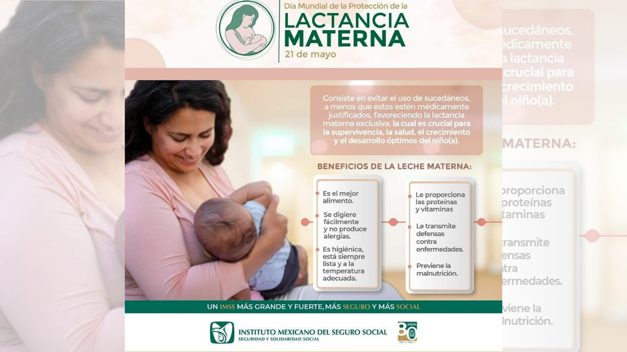 lactancia materna importancia
