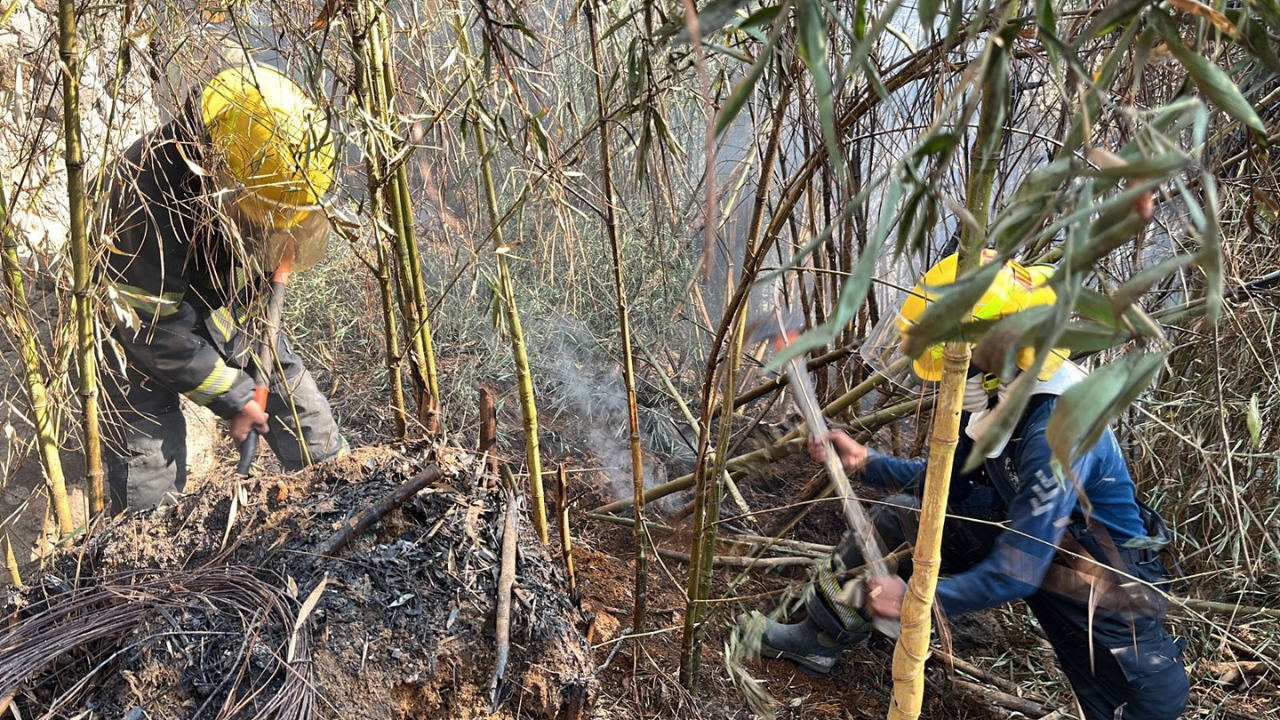 recomendaciones incendios