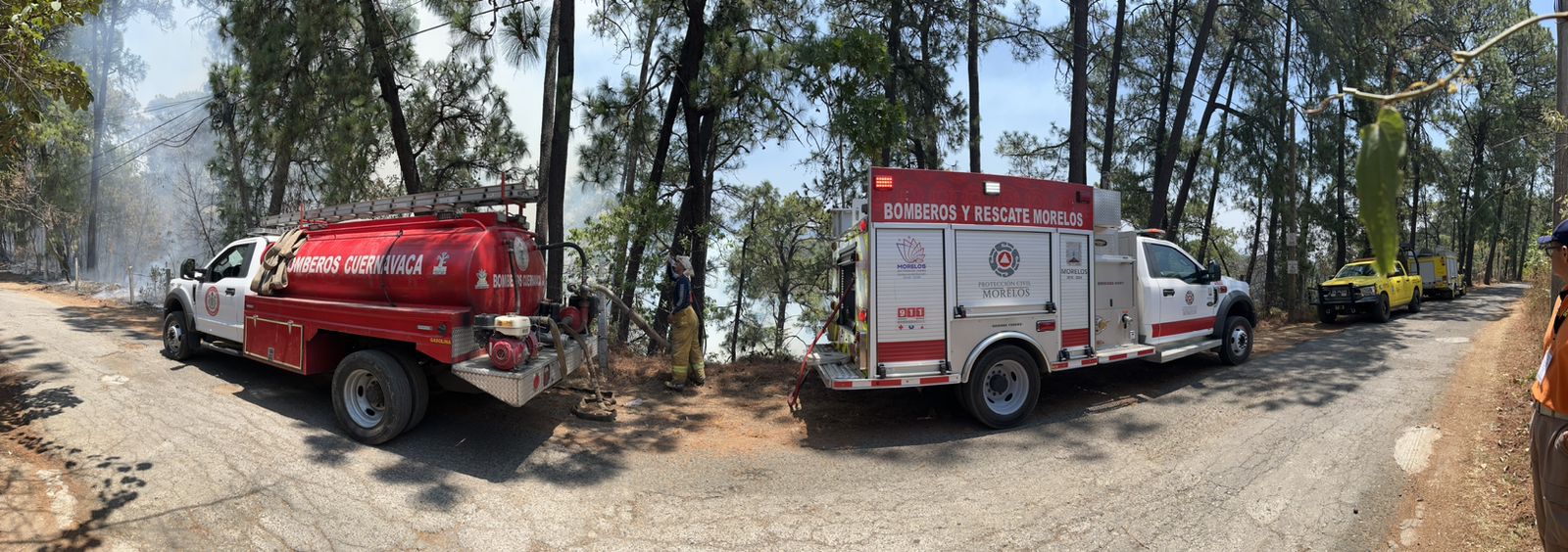 combaten incendio forestal en cuernavaca y edomex
