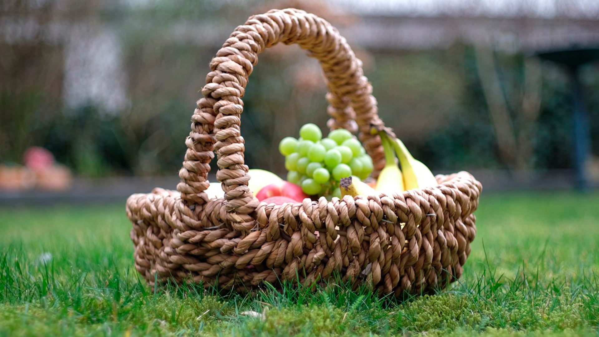 que hacer para festejar el 10 de mayo