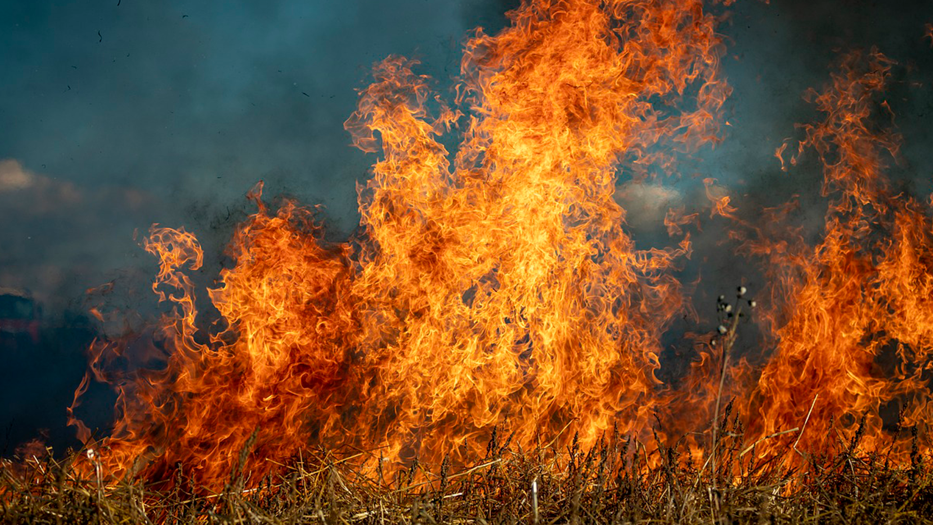 incendios forestales en morelos