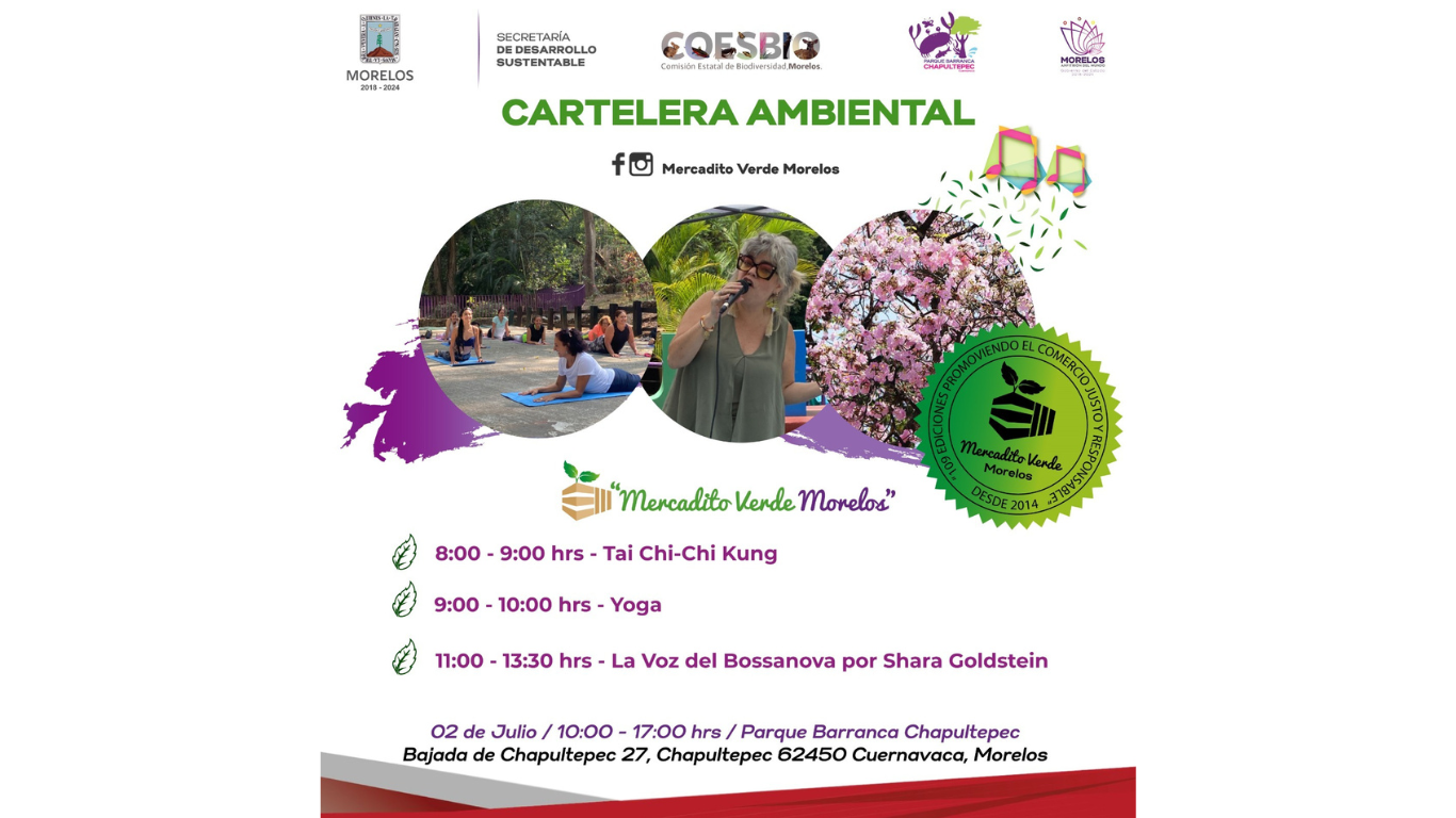 mercadito verde morelos