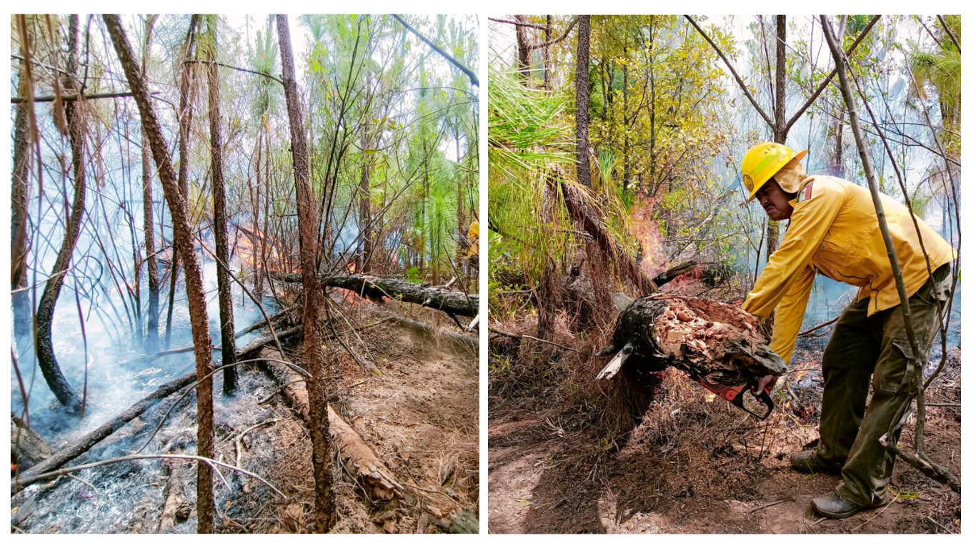 incendios en morelos