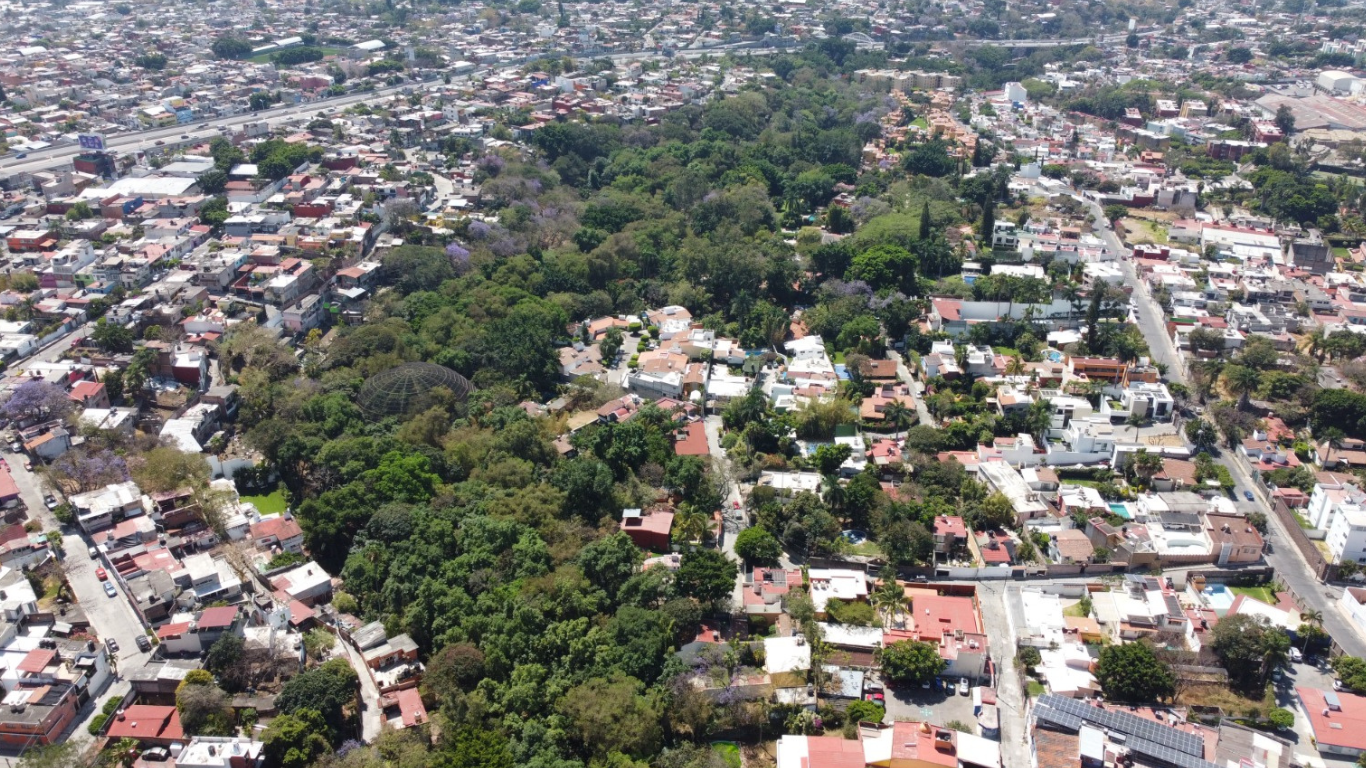 donde festejar el dia del padre en morelos