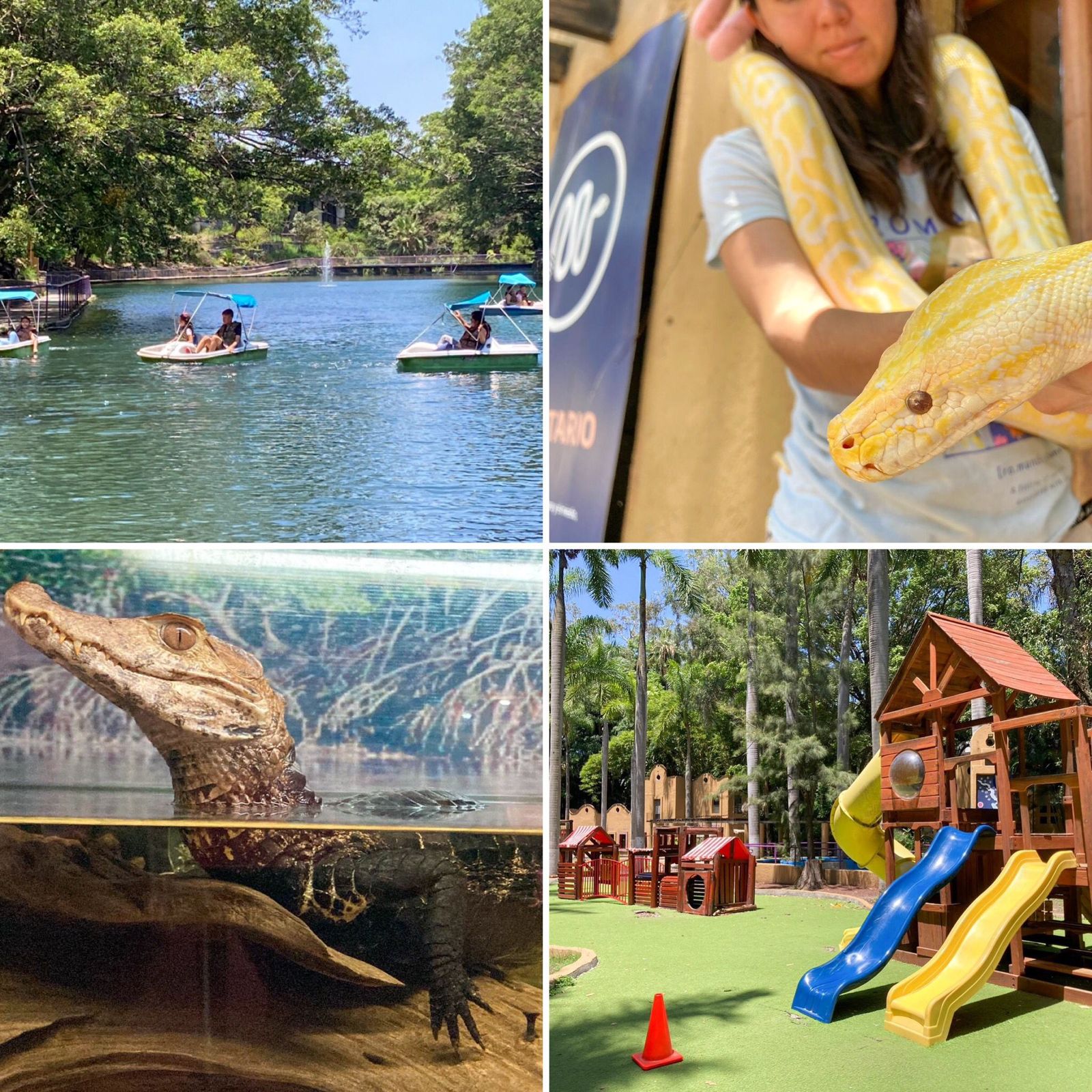 parque chapultepec actividades