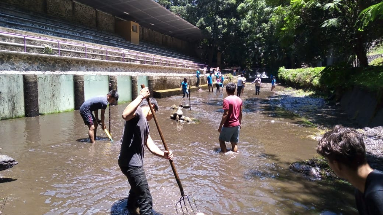 parque chapultepec