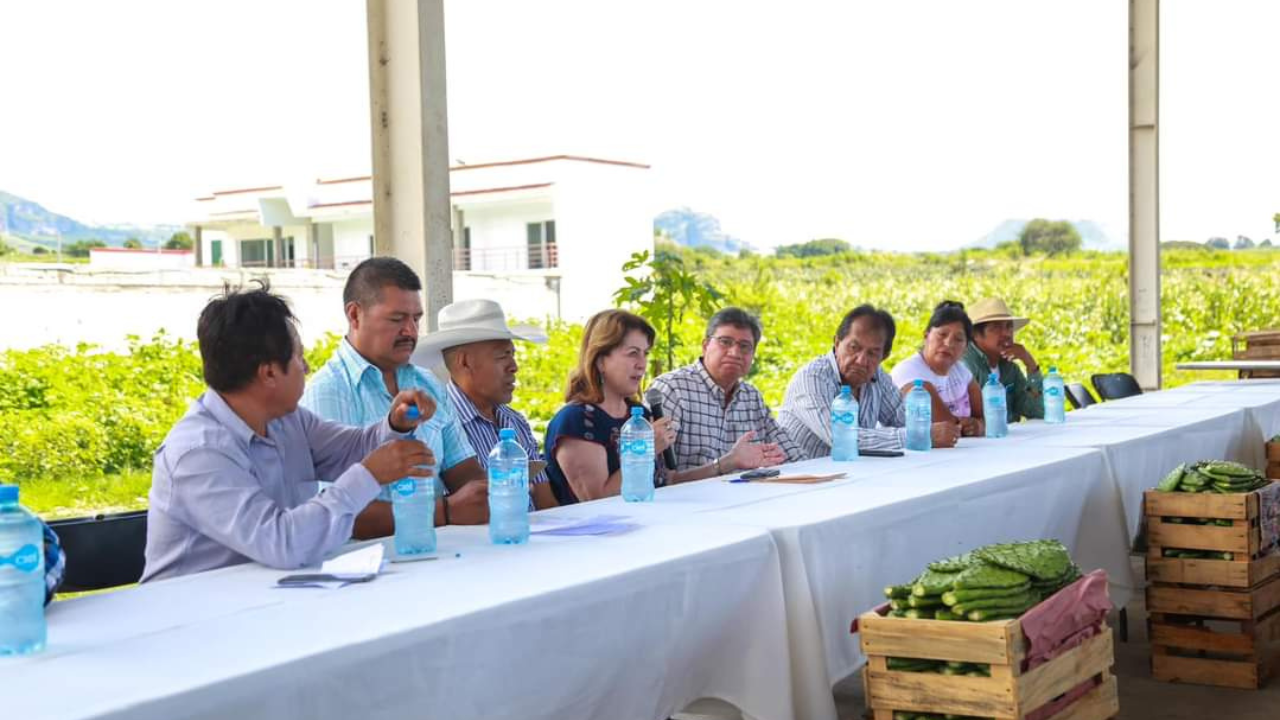 gira margarita trayacapan coatetelco