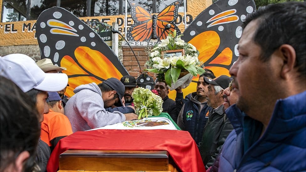 homero mariposa