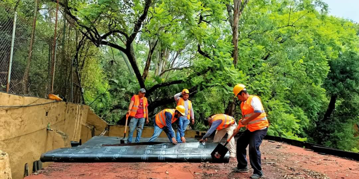 La Secretaría de Obras estará a cargo de los trabajos. 