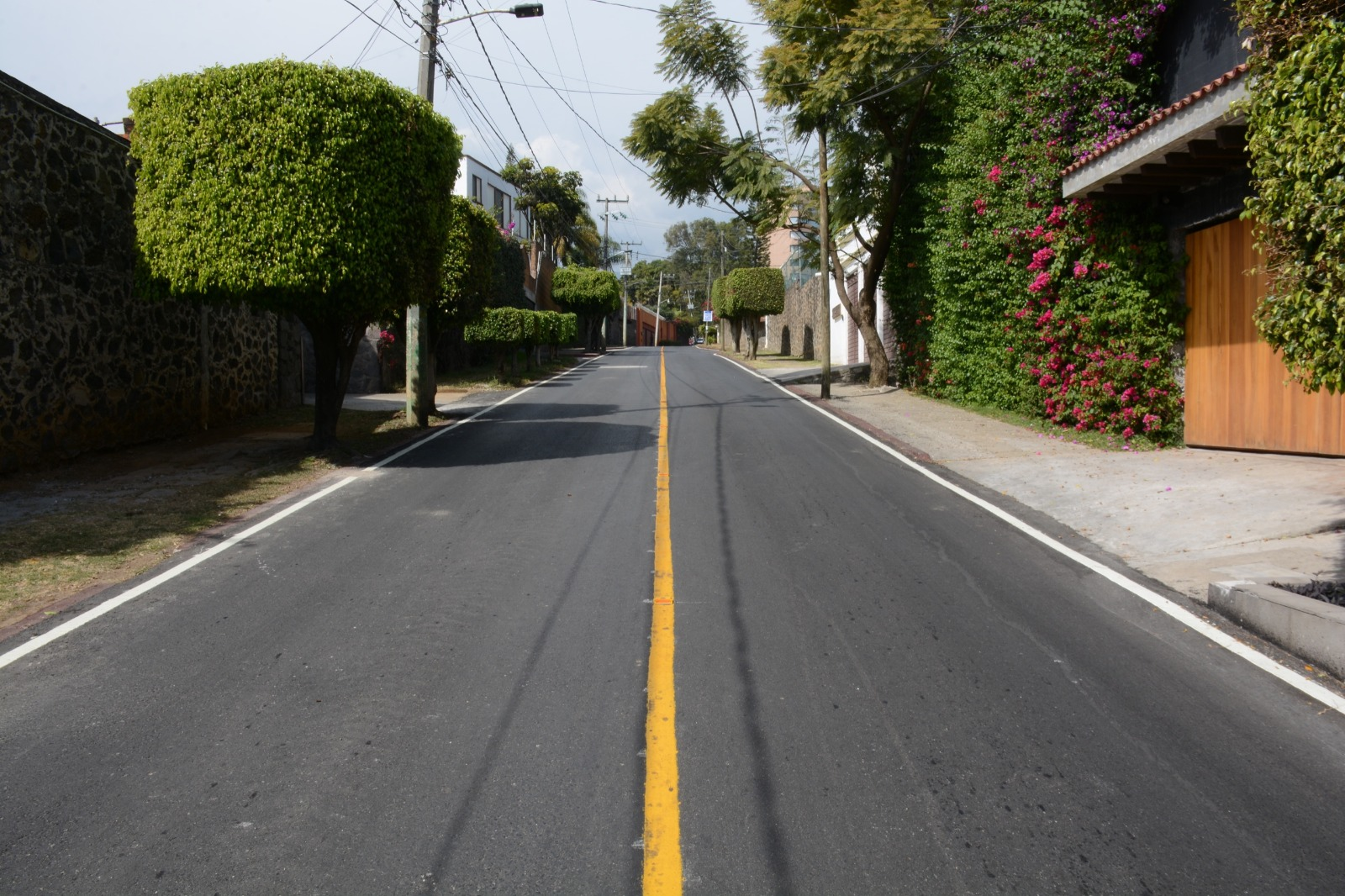 rehabilitación con pavimento asfáltico de la calle Rosal en Rancho Cortés
