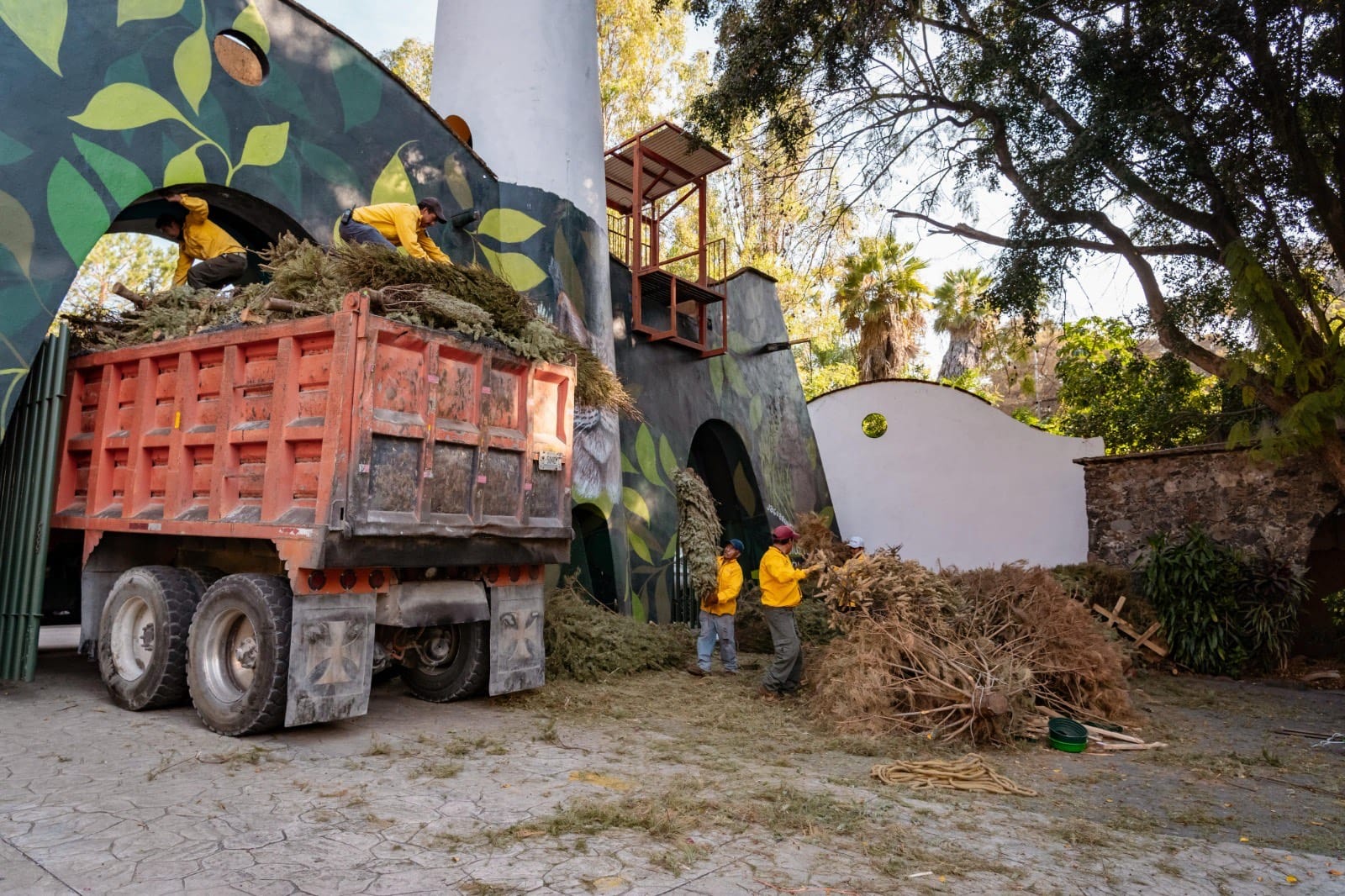 Campaña recolección árboles de navidad.