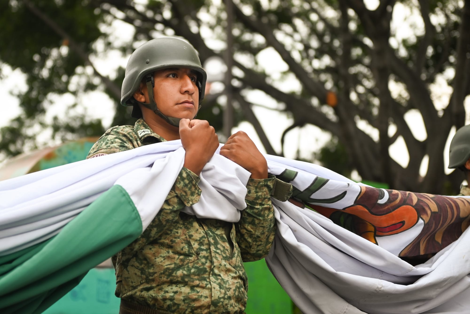 Aniversario del Ejército Mexicano.
