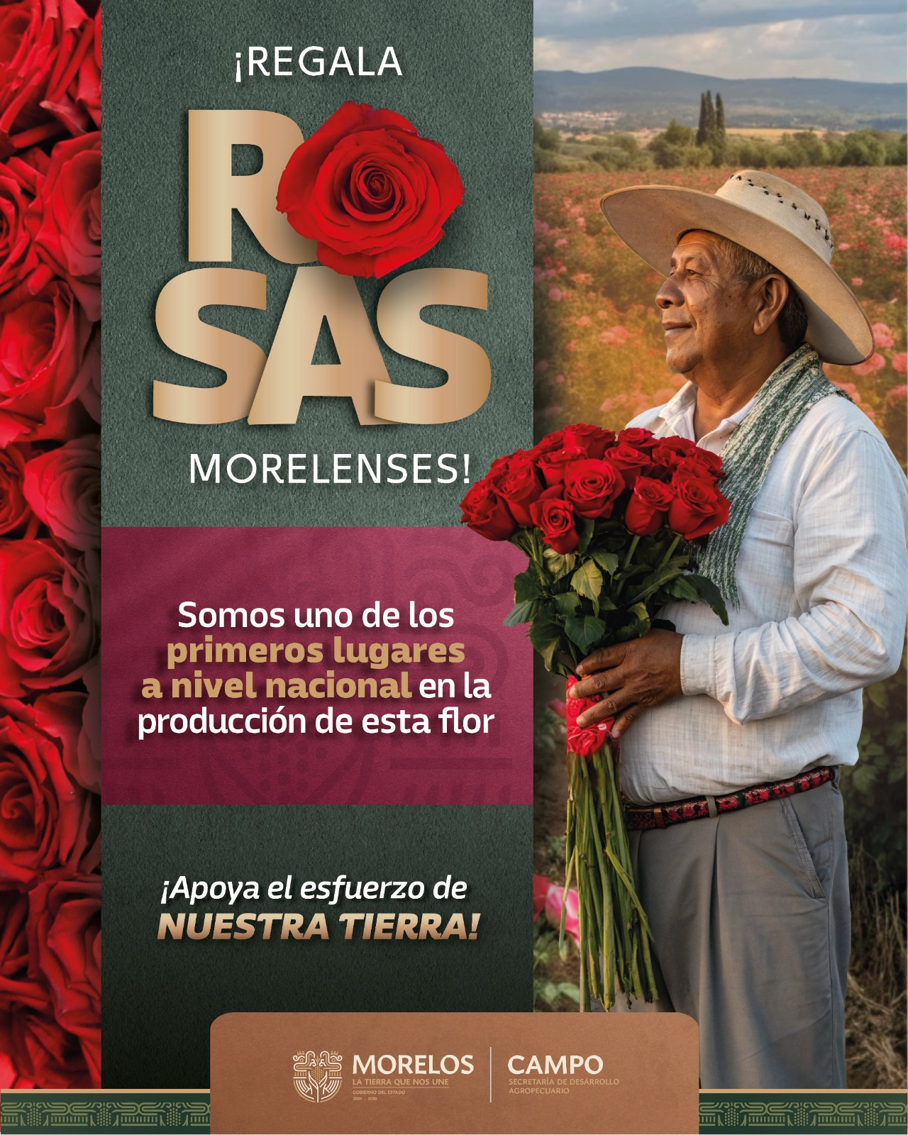 Se consolida Morelos como uno de los principales productores de rosa a nivel nacional 