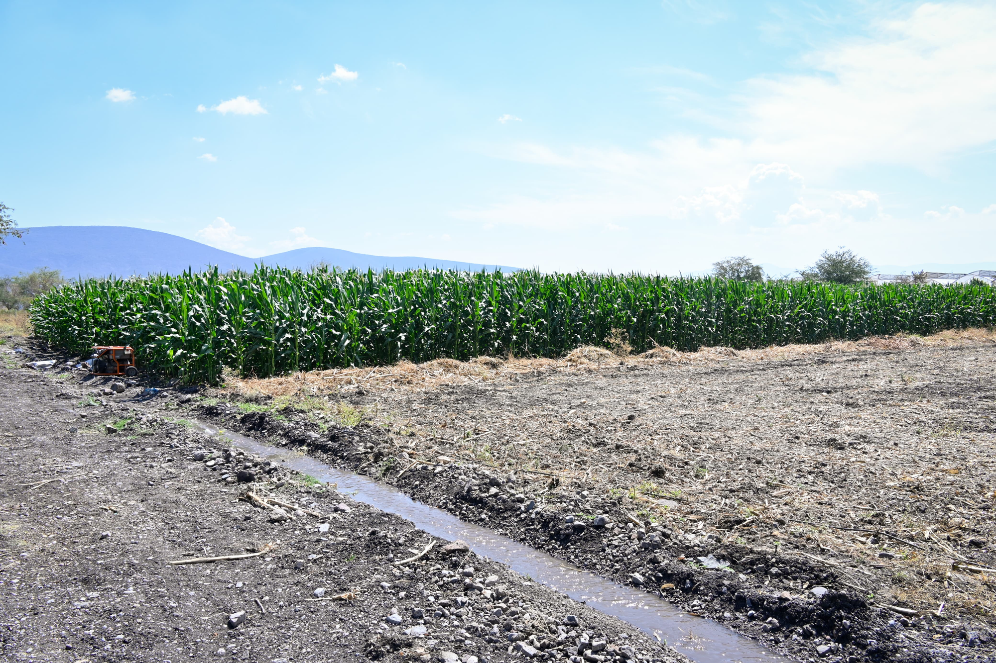 Construye Margarita González Saravia, un Morelos justo, productivo y con bienestar 