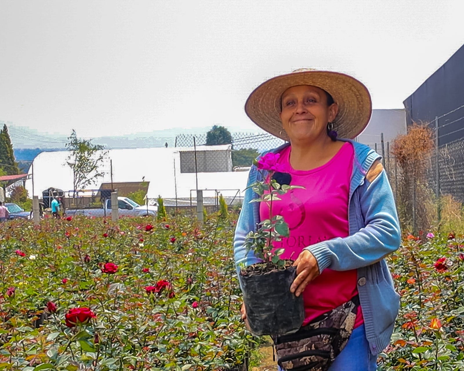 Flores para mamá