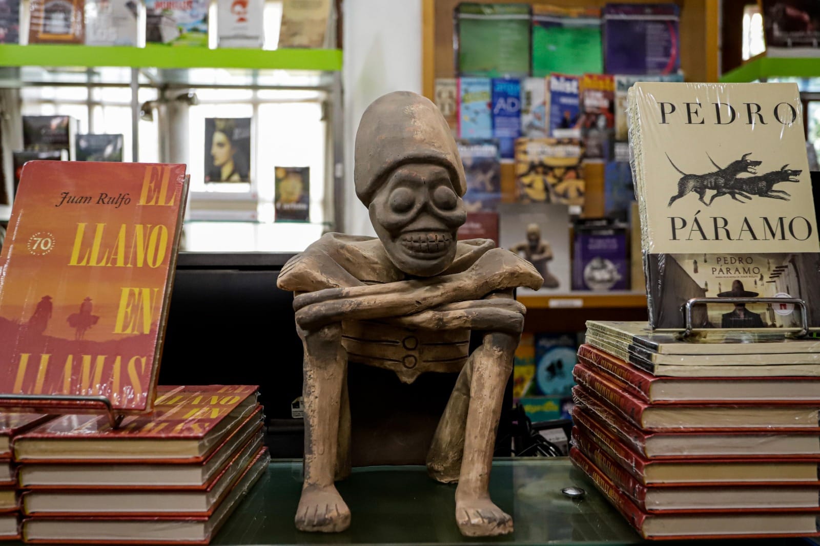 libreria jardin borda