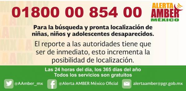 Todo lo que debes saber de la Alerta Amber | QuimiNet.com