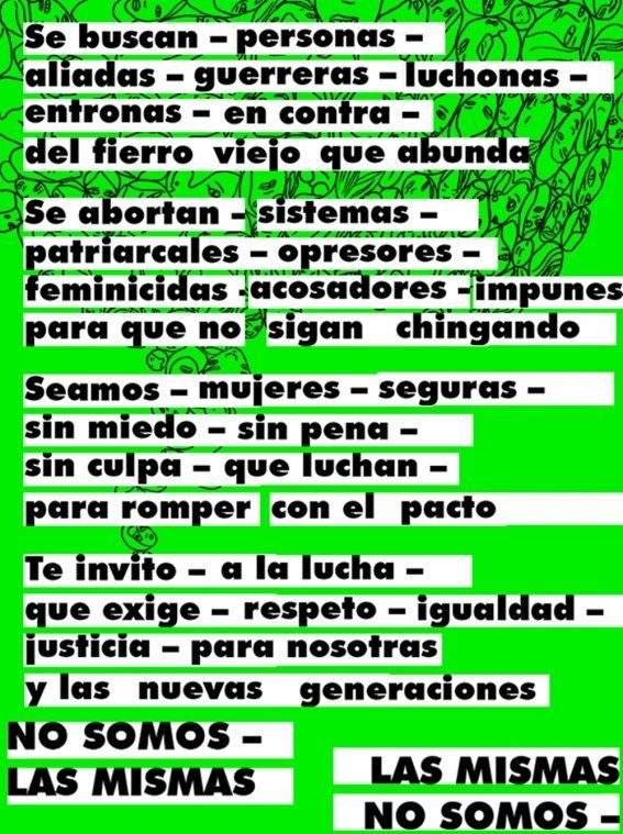 fierro-viejo-feminista2.jpg