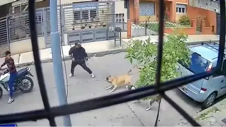 Frustan perritas asalto a mano armada en Argentina