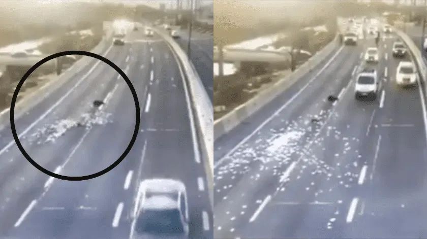 En Chile, ladrones tiran dinero para no ser detenidos