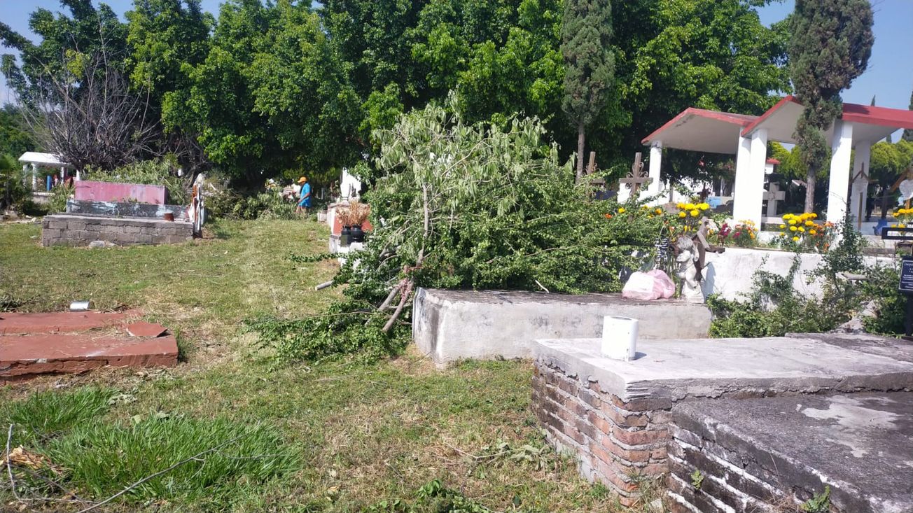 Podrían remover más de 5 mil tumbas del panteón de La Paz