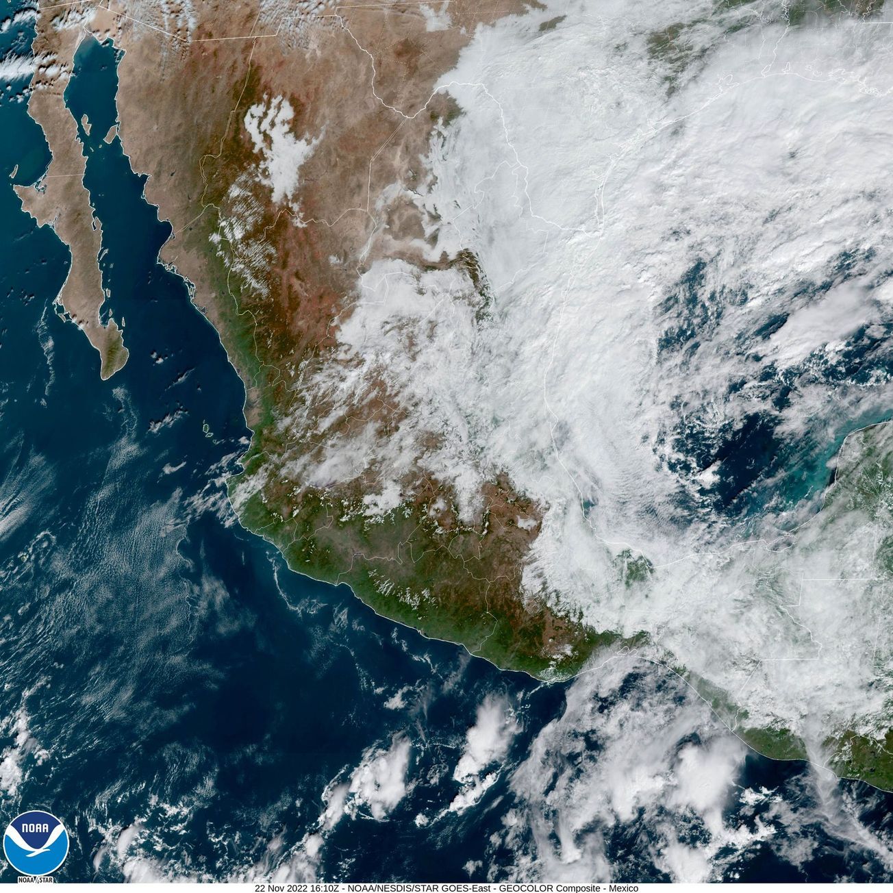 Comienzan las primeras heladas de la temporada