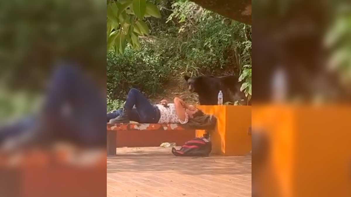 Alumna de la UANL es sorprendida por un oso
