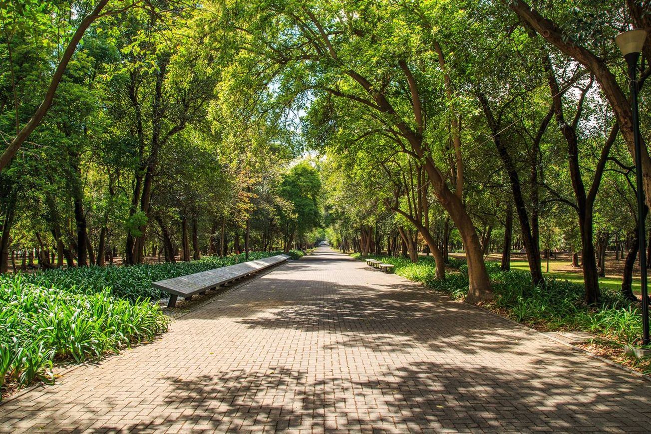3 detenidos por asaltar a transeúntes en el Bosque de Chapultepec