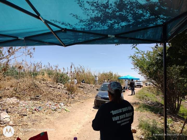 Restos humanos fueron encontrados en 41 bolsas