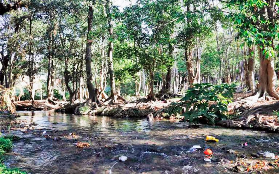 Afectan diputados cuidado del medio ambiente